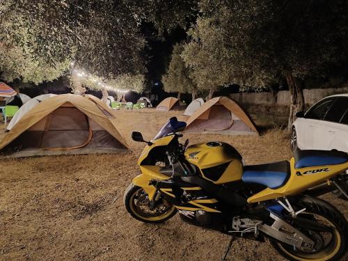 Gallery image of Waveside Camping in Borsh