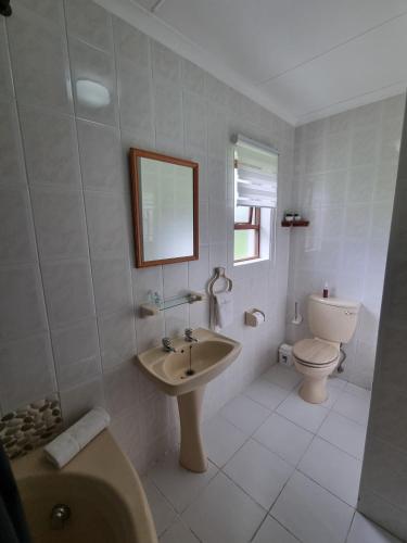 a white bathroom with a sink and a toilet at Farmlands Guesthouse in George
