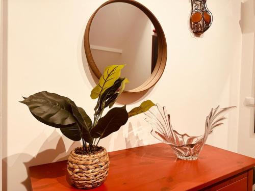 a table with a mirror and a plant on it at Maison du Clos de la Gare in Pont-du-Navoy