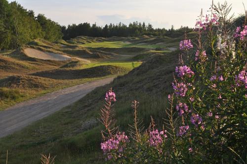 a view of a golf course with pink flowers at Sand Golf Club in Bankeryd