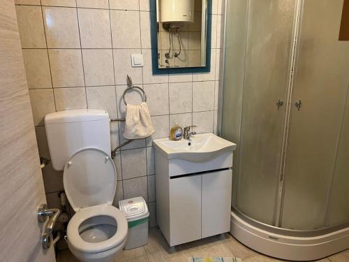Un baño con inodoro, lavabo y ducha. en M`s Luxury Apartments, en Skopje