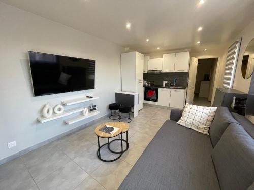 un salon avec un canapé et une télévision à écran plat dans l'établissement Dépendance cosy et paisible, à Osny