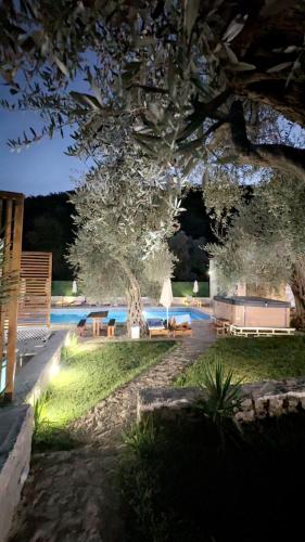 un arbre à côté d'une piscine la nuit dans l'établissement Eman Villas, à Ulcinj