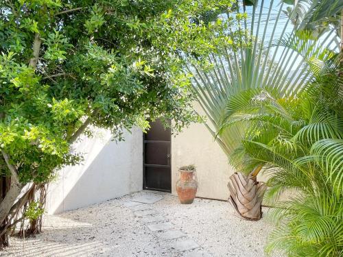 Luxury House Tomanoa - 10pers - 4rooms - Pool - HotJacuzzi - Speed Wifi -waterfall في تولوم: ساحة بها نباتات وباب في بيت زجاجي