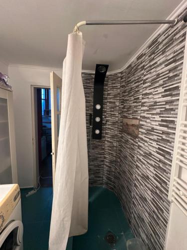 eine Dusche in einem Badezimmer mit einer Ziegelwand in der Unterkunft Casuta de vis in Bukarest