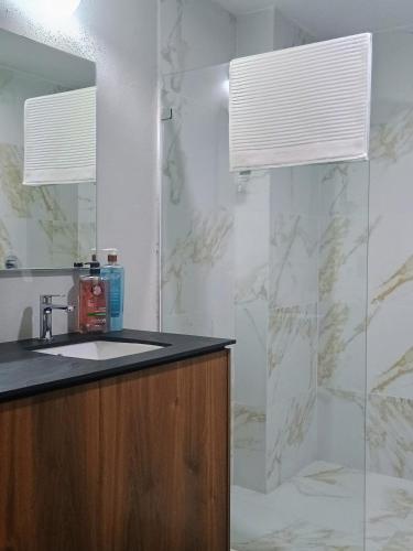a bathroom with a sink and a mirror at Suites del Carmen Consulado in Guadalajara