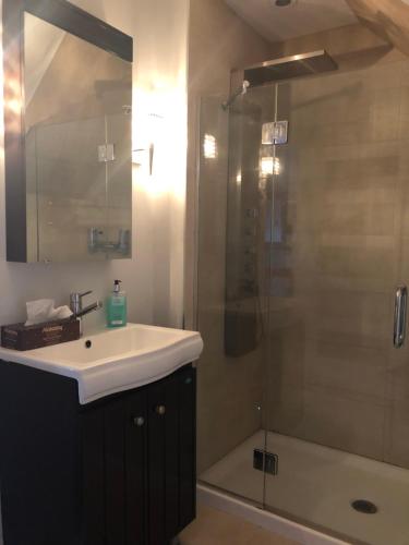 a bathroom with a sink and a shower at L'intime loft Studio à Orford in Magog-Orford