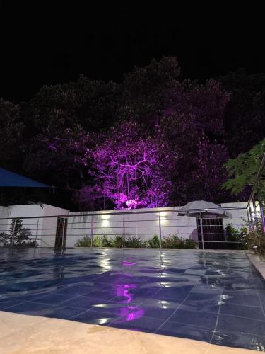 a swimming pool at night with a purple tree at Hotel Palmetto Beach Coveñas in Coveñas