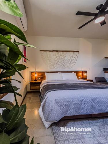 a bedroom with a bed and a plant at Hotel Casa Coronel in La Paz