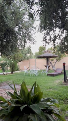 Κήπος έξω από το Cabañas Las Rosas
