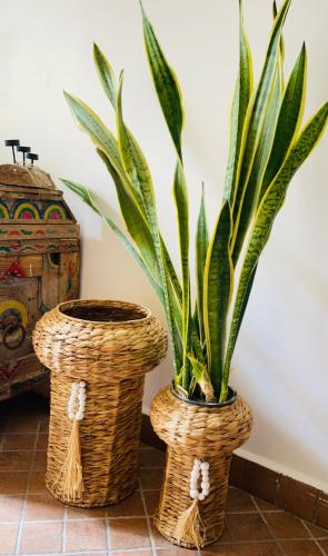 two wicker baskets with a plant in them at Villa Ranch Bladna in Tamraght Oufella