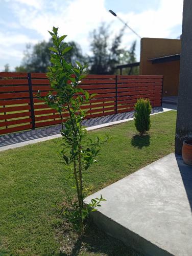 Zahrada ubytování Rincón del Sol en Albardón