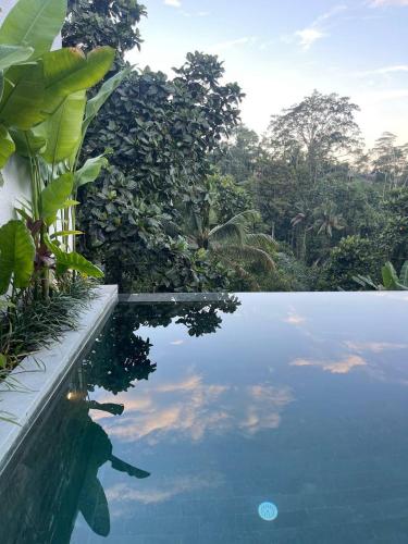 a pool of water with trees in the background at Loyo Villas in Tegalalang
