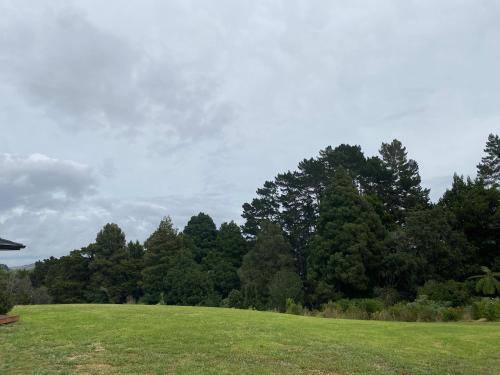 a green field with trees in the background at Lotus House in Buckland