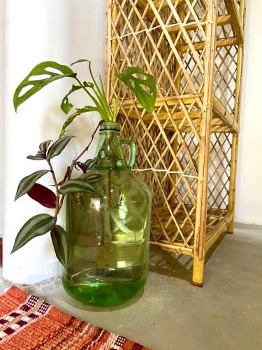 a green vase with a plant in it on a table at Hello Homestay in Galle