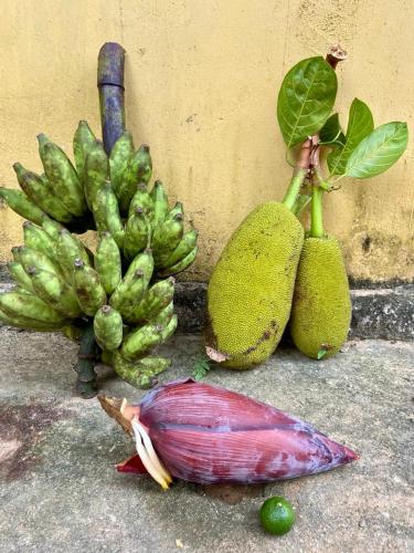 a group of fruits and vegetables sitting on the ground at Hello Homestay in Galle
