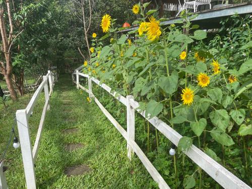 Un jardín fuera de Thung Lũng Sun View homestay