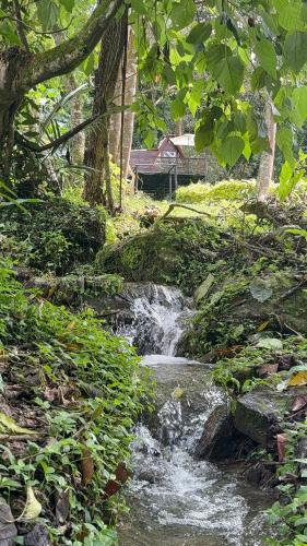 a small waterfall in the middle of a forest at Glamping la cabaña in La Ermita