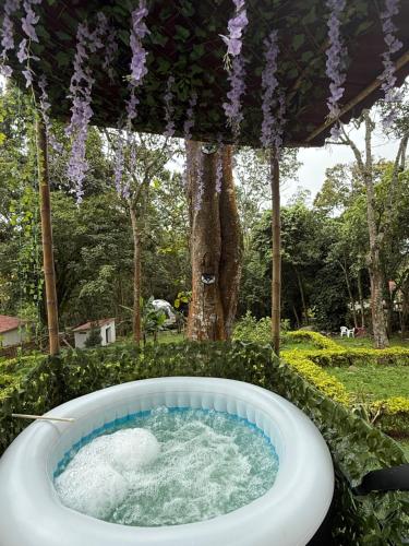a hot tub in a garden with a tree at Glamping la cabaña in La Ermita