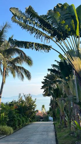 a road with palm trees on the side of it at Baan Faahsai碧海半山别墅 in Amphoe Koh Samui