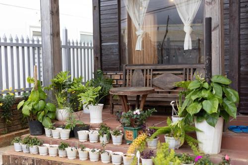 a bunch of potted plants on a porch at Homestay Nhà Mầm in Da Thien
