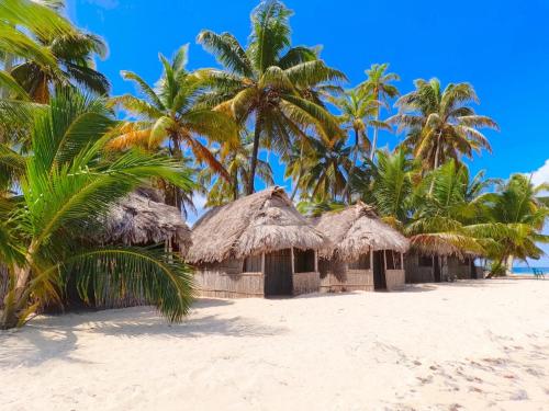 a row of huts on a beach with palm trees at SAN-BLAS Isla iguana CABAÑAS GUNA YALA Panamá in Panama City
