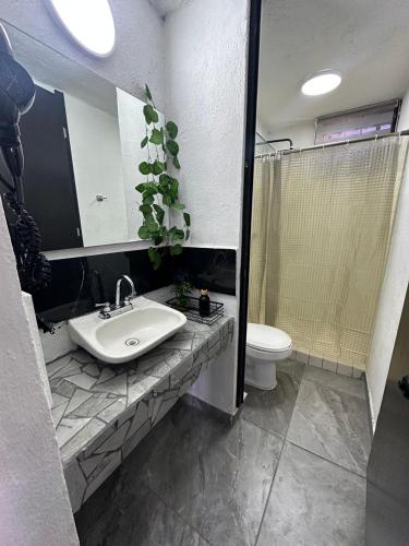 a bathroom with a sink and a toilet at departamento familiar centrico cerca de playa y plazas comerciales con wifi 200 in Puerto Vallarta