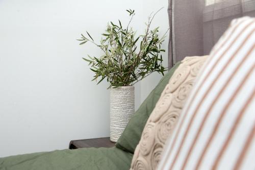 a white vase with a plant on a table at Casa Salvador in Flagstaff Hill