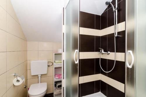 a bathroom with a toilet and a shower at Holiday Home Tina in Cavtat