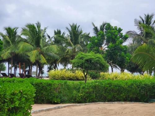 Taman di luar Beach Front Trinco