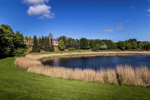 a pond in a field with a house in the background at Scandic Roskilde Park in Roskilde