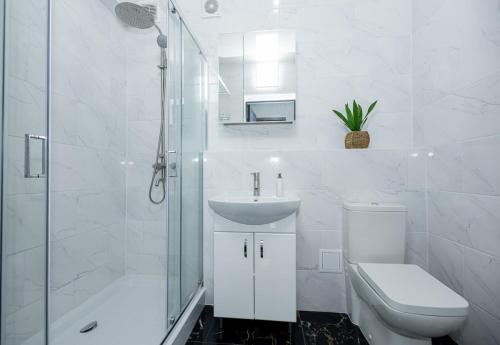 Un baño con inodoro, lavabo y ducha. en one bedroom apart with condition, en Chişinău