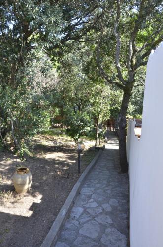 Κήπος έξω από το Villa Mimmi
