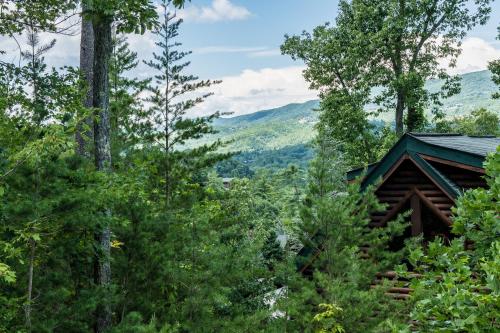 a log cabin in the woods with trees at The Bear Club in Pigeon Forge