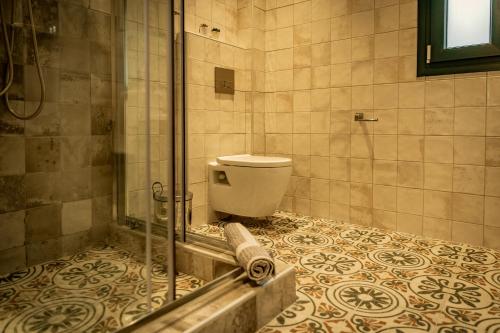 a bathroom with a toilet and a glass shower at Σοχός Παραδοσιακές Οικίες- ΒΕΝΙΖΕΛΟΥ in Zokhós
