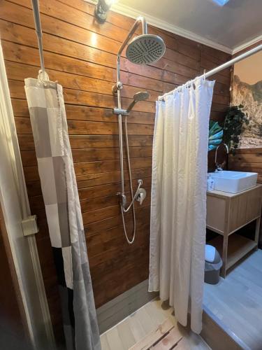 a bathroom with a shower and a sink at Lo Chalet del Relax in Carrara
