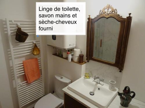 a bathroom with a sink and a toilet and a mirror at Chaleureux Henri IV in Pau