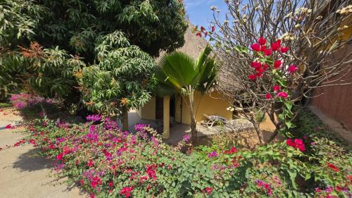 a garden of flowers and plants in front of a building at Maison 2 chambres dans résidence in Saly Portudal