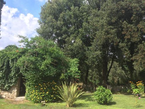 a garden with trees and flowers in the grass at U Palazzu Corte in Corte