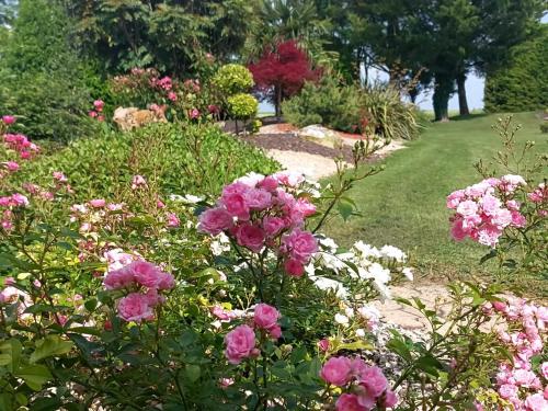 a garden with pink flowers in a yard at Lagalerne in Neuville-de-Poitou