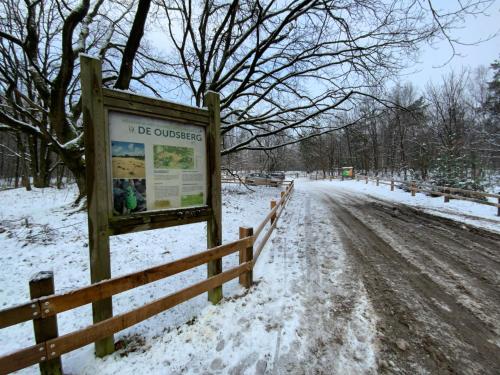 Tussen Heide en Bos vlakbij Sentower Park v zimě