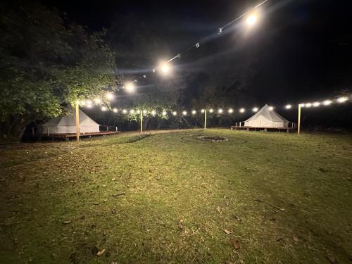 a field with tents and lights at night at Kamp Obası Oğuz in Oghuz