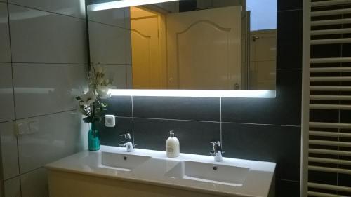 a bathroom with a sink and a mirror at Carpe Diem in Ommen