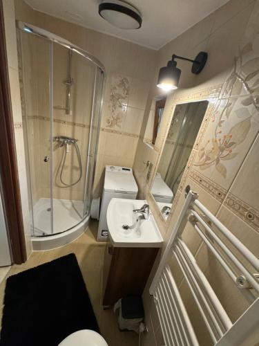 a small bathroom with a sink and a shower at Noclegi u Kostka Sarbinowo in Sarbinowo