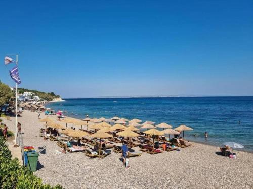 Μεζονέτα AIKATERINI N 3