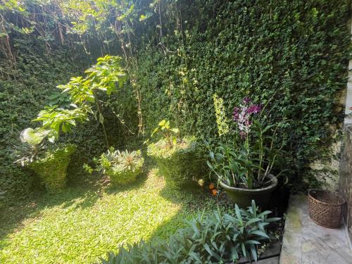 Taman di luar Villa Ayung
