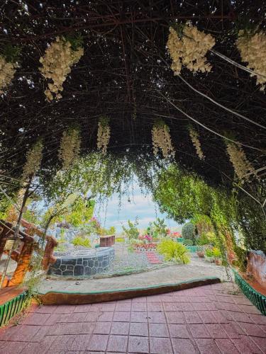 Κήπος έξω από το RVS Skyview and Nature Park