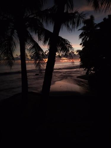 two palm trees on a beach at sunset at Faré TIAREI in Tiarei