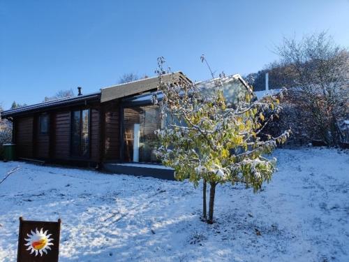 a tree in the snow in front of a house at Ferienhaus Diemelsee-Sudeck in Diemelsee