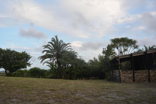 Φωτογραφία από το άλμπουμ του Sibaya Camp & Backpackers σε Mbazwana